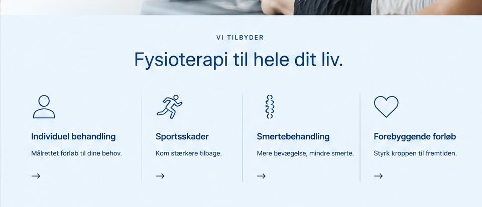 Ydelses- og indholdssektioner i fysioterapeut-konceptet