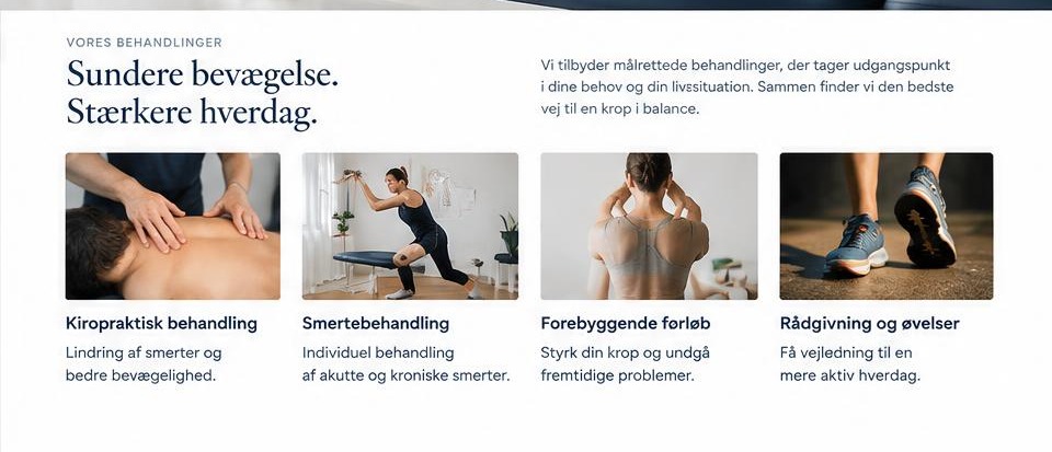 Ydelses- og indholdssektioner i kiropraktor-konceptet