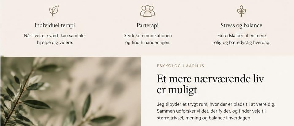 Ydelses- og indholdssektioner i psykolog-konceptet