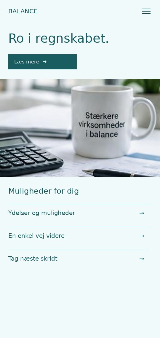 Mobilpræsentation af designkoncept til revisor