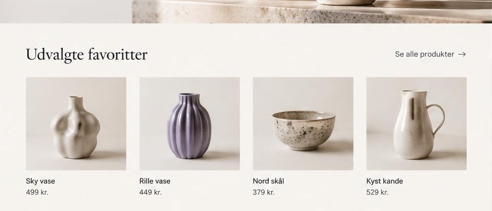 Ydelses- og indholdssektioner i webshop-konceptet